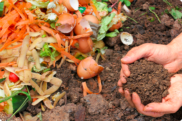 Réaliser un bac à compost pour son jardin